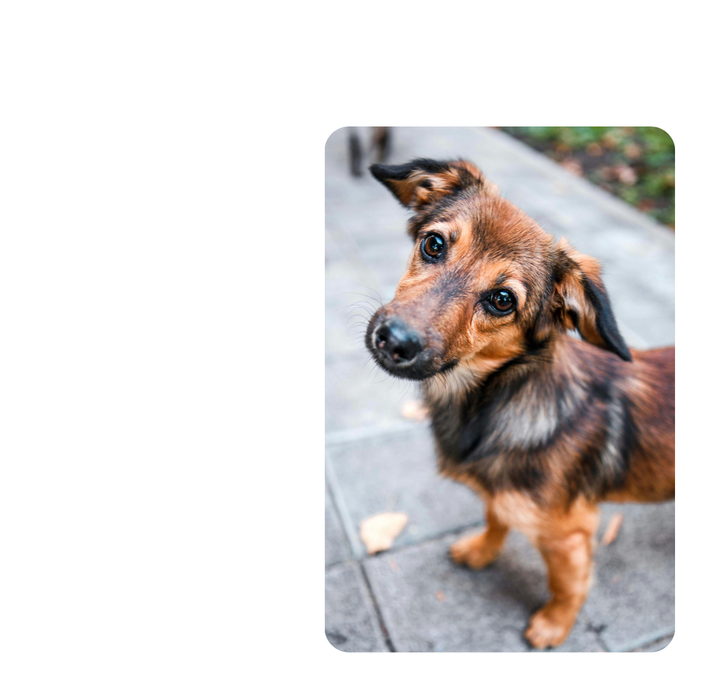 Adsız tasarım (10)